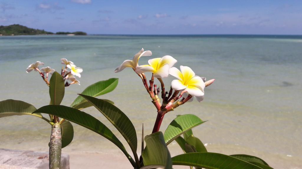 Papillon Resort Παραλία Σαγουένγκ Εξωτερικό φωτογραφία